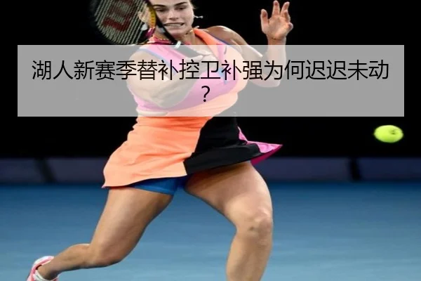 湖人新赛季替补控卫补强为何迟迟未动？